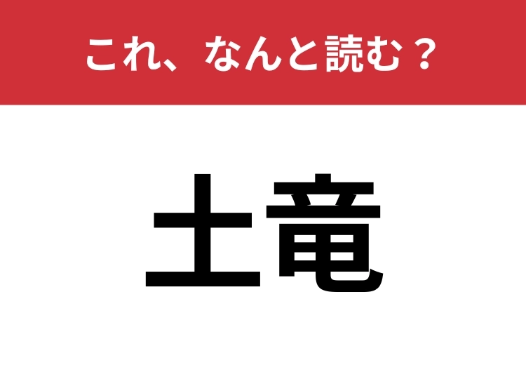 【土竜】はなんと読む？知っていたら博識！のメイン画像