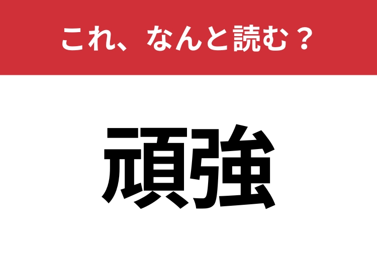 【頑強】はなんと読む?意外と知らないこの漢字!のメイン画像