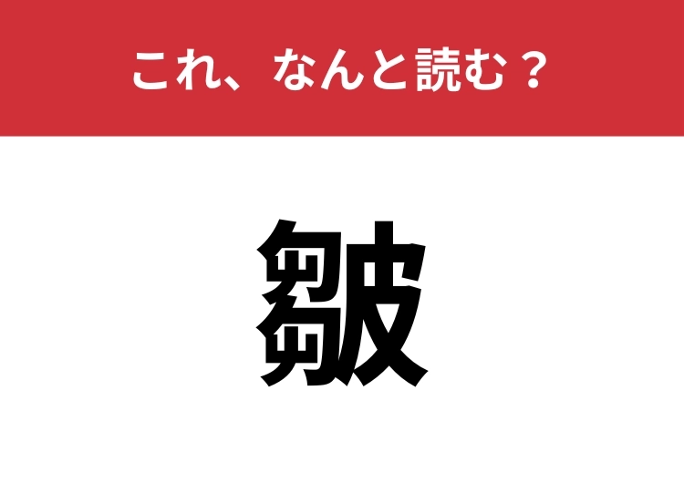 【皺】はなんと読む？言葉は誰もが知っているはず！のメイン画像