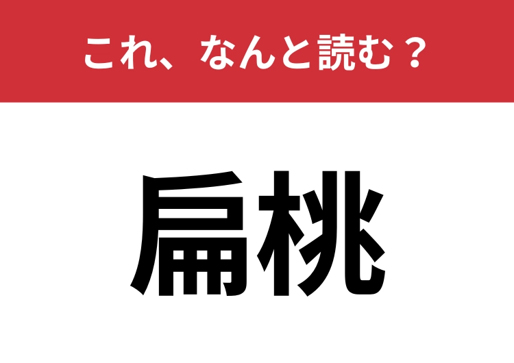 【扁桃】はなんと読む？「扁桃腺」と同じ字！のメイン画像