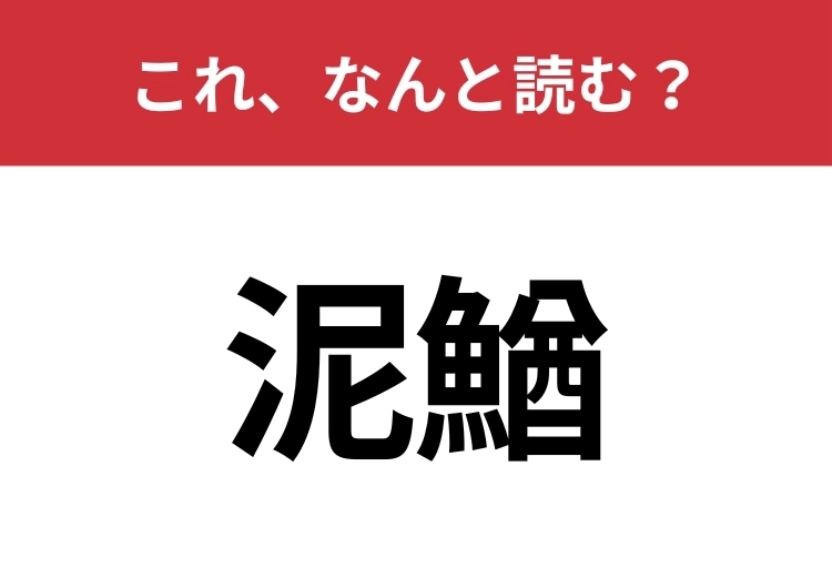 【泥鰌】はなんと読む?泥の中で暮らすアイツ!のメイン画像