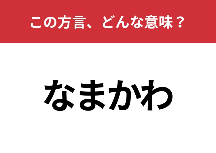 【方言クイズ・岐阜編】「なまかわ」はどんな意味?「かわいい」の意味ではありません!