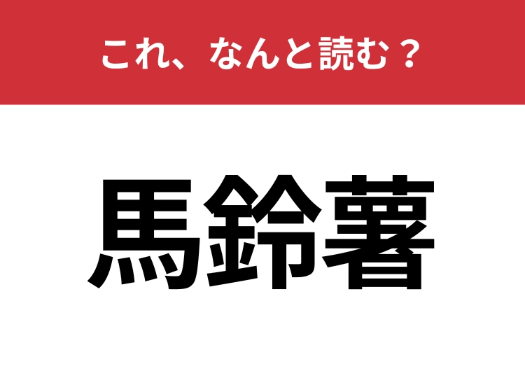 【馬鈴薯】はなんと読む？スーパーでよく見かけるあの野菜です！