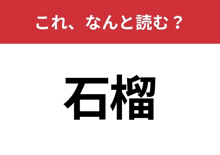 【石榴】はなんと読む？甘酸っぱいあの果実！のメイン画像