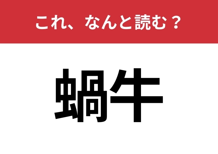 【蝸牛】はなんと読む？雨の日に見られるあの生き物！のメイン画像