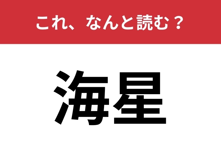 【海星】はなんと読む？これは簡単に読めて欲しい！のメイン画像