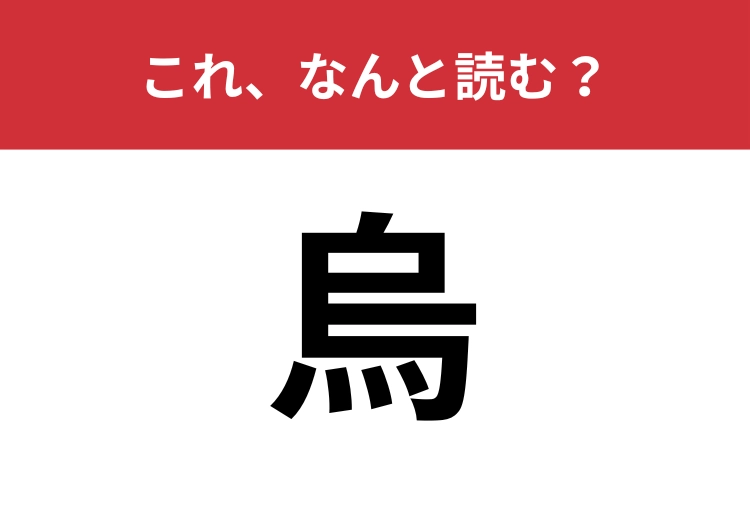 【烏】はなんと読む？三文字で表す鳥の名前です
