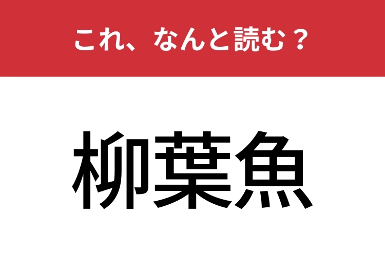 【柳葉魚】はなんと読む？よく食卓で目にするあの魚！のメイン画像