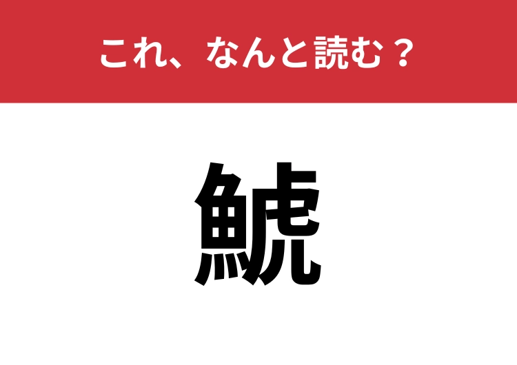 【鯱】はなんと読む？海のギャングとも言われるあの動物！