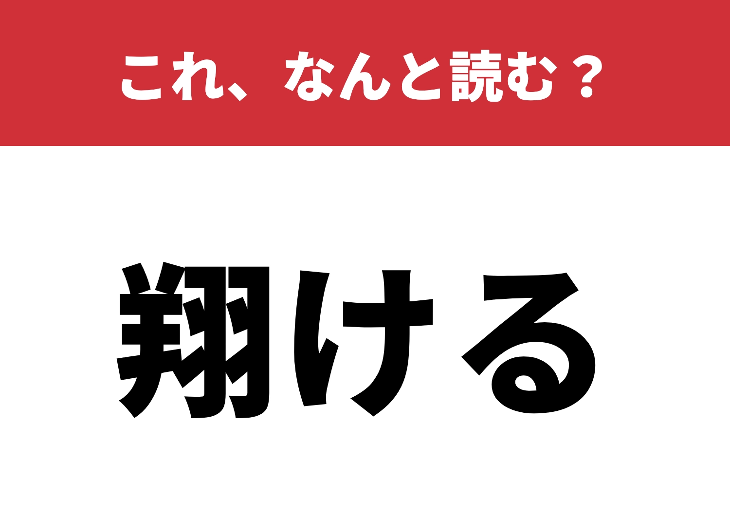 【翔ける】はなんと読む?この読み方は知ってる?のメイン画像