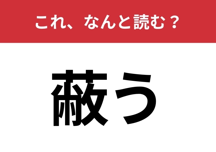【蔽う】はなんと読む？何かを隠すイメージで！のメイン画像