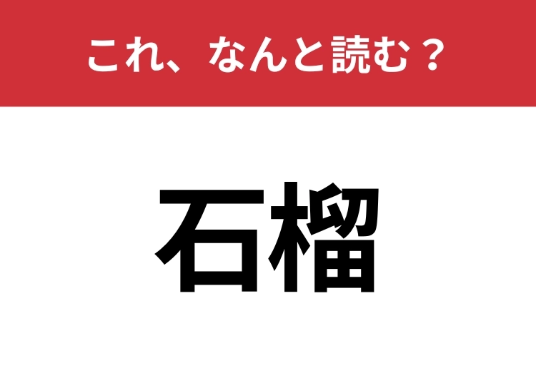 【石榴】はなんと読む？甘酸っぱいあの果実！のメイン画像