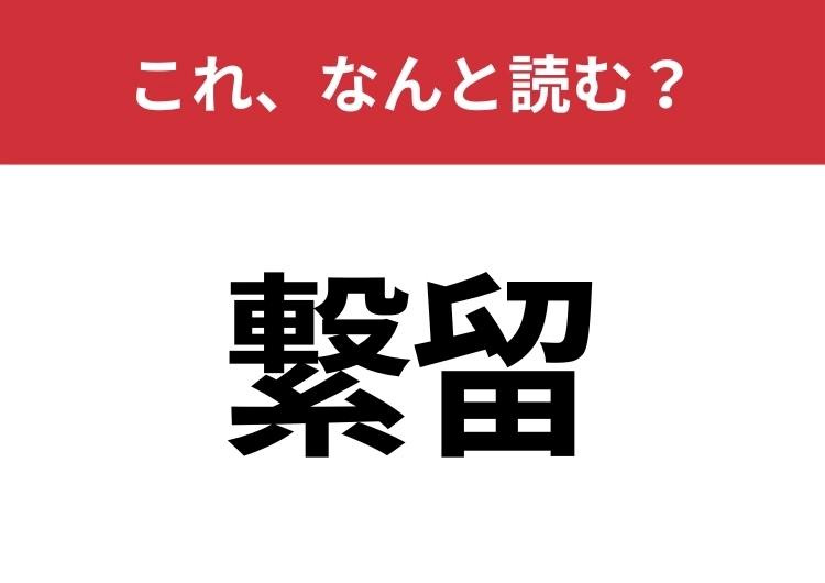 【繋留】はなんと読む？さらっと使えるとハナタカ！のメイン画像