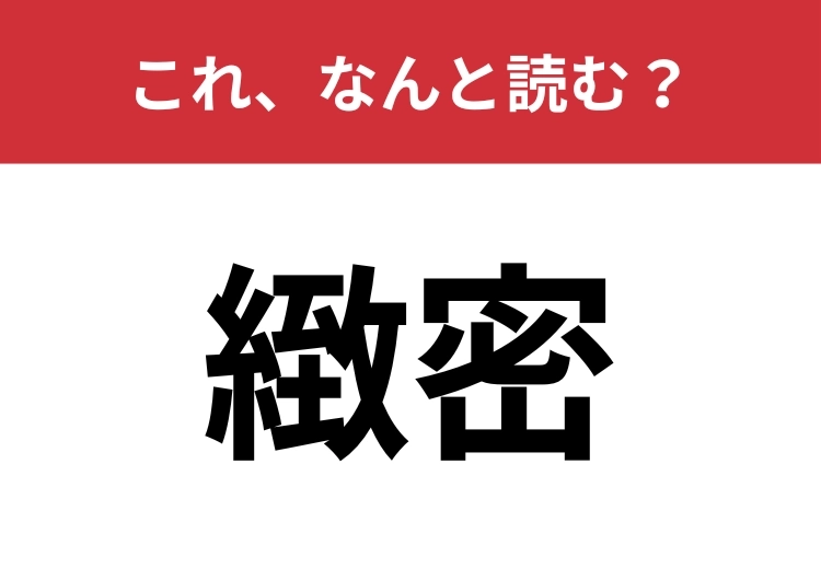 【緻密】はなんと読む?細かくぬかりがないことを意味します!のメイン画像