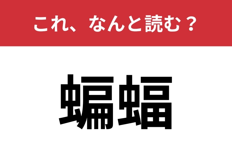 【蝙蝠】はなんと読む？夜行性の動物の名前です！のメイン画像
