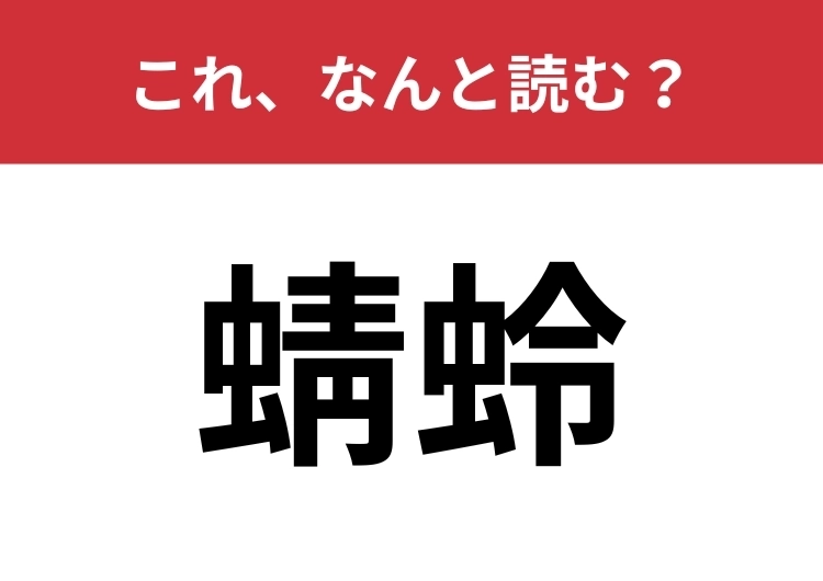 【蜻蛉】はなんと読む?秋を象徴する昆虫!のメイン画像