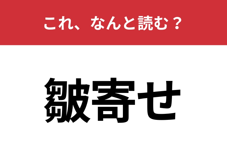 【皺寄せ】はなんと読む？日常生活でも使われる言葉！