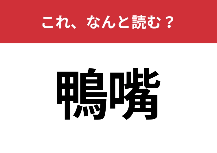 【鴨嘴】はなんと読む？ヒントは水に住む不思議な生き物！