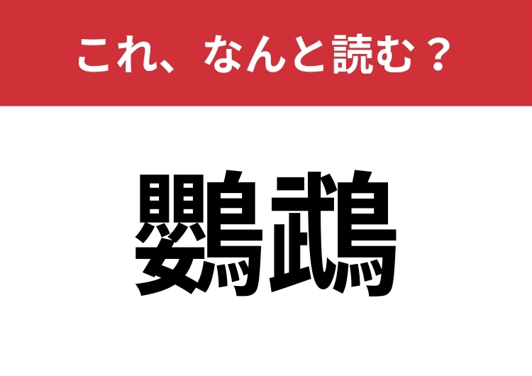 【鸚鵡】はなんと読む？意味は知っていても読めない人が多いかも？のメイン画像