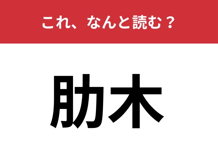 【肋木】はなんと読む?体育館で見かけるとある器具ですのメイン画像