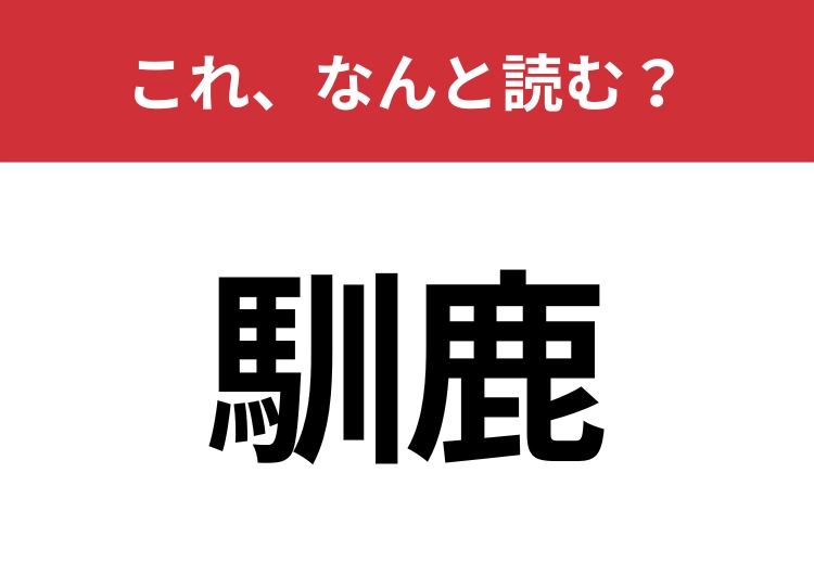 【馴鹿】はなんと読む？馴れ馴れしい鹿と書いて？のメイン画像