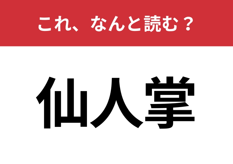 【仙人掌】はなんと読む？誰もが知っているあの植物のこと！のメイン画像
