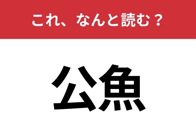 【公魚】はなんと読む？「こうぎょ」はもちろん違います！のメイン画像