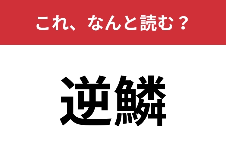 【逆鱗】はなんと読む？正しく読めている人は意外と少ない！？のメイン画像