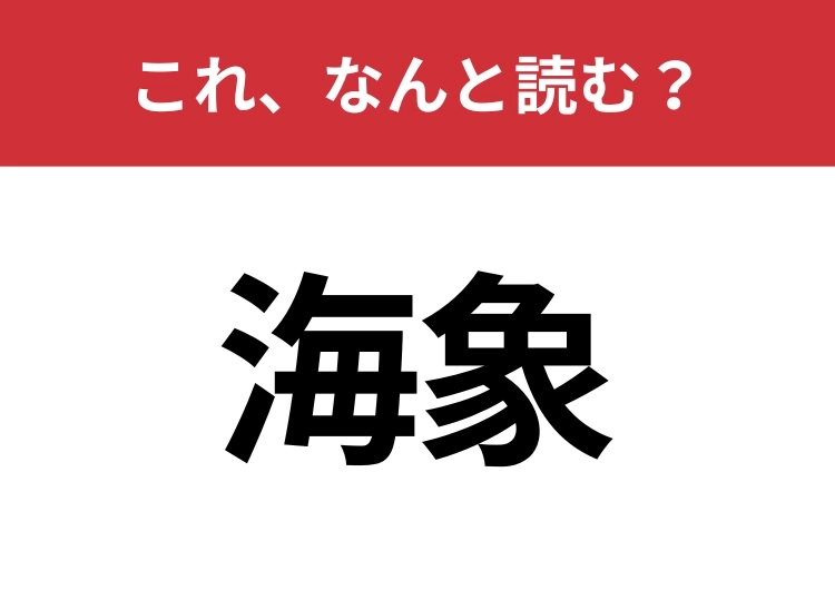 【海象】はなんと読む？「海の象」はどの動物？のメイン画像
