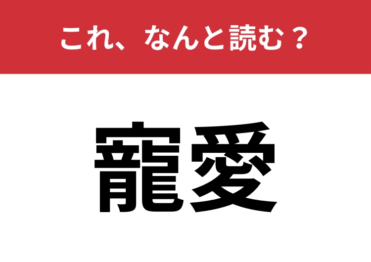 【寵愛】はなんと読む?大人ならサラッと読みたい!