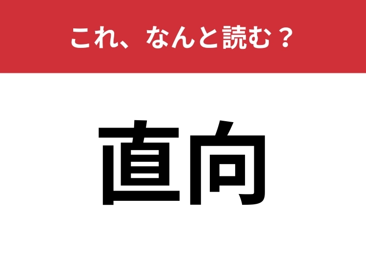 【直向】はなんと読む？「ちょっこう」とは読みません！のメイン画像