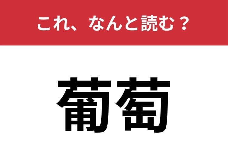 【葡萄】はなんと読む?秋の味覚の果物!のメイン画像