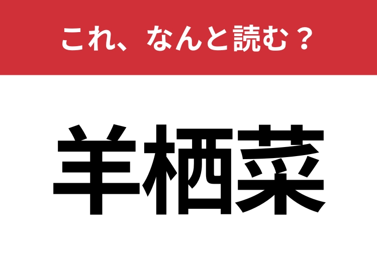 【羊栖菜】はなんと読む？日本人なら誰もが食べたことのあるあの食材！のメイン画像