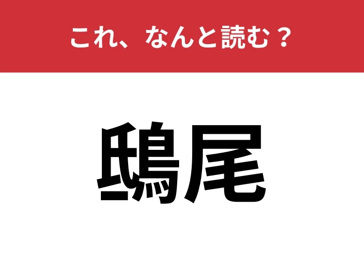 【鴟尾】はなんと読む?歴史的建造物の屋根についているものは?のメイン画像