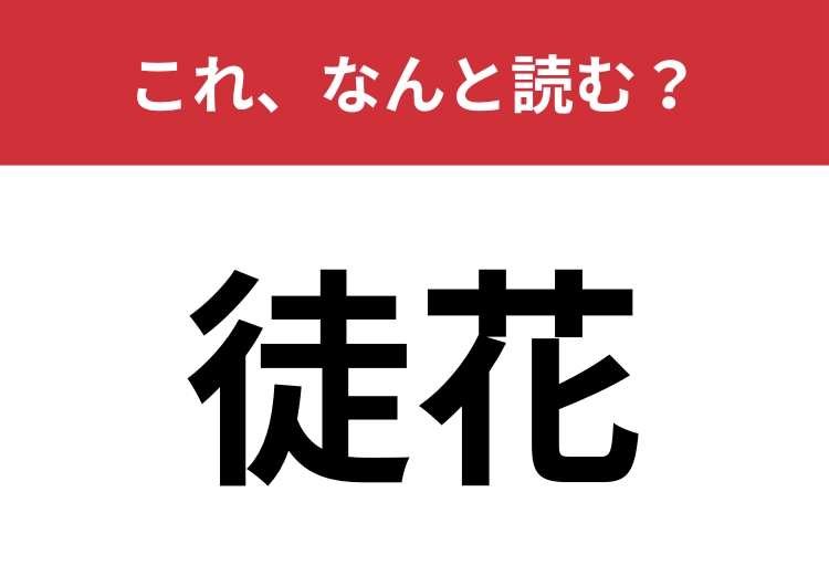 【徒花】はなんと読む？切なくて美しい意味を持つ言葉！のメイン画像