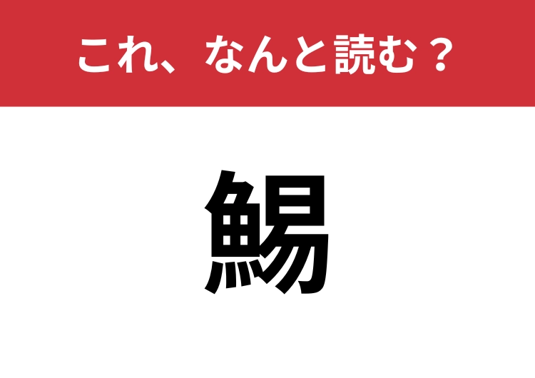 【鯣】はなんと読む？イカの一種を表す漢字！ | ファッションメディア - andGIRL [アンドガール]