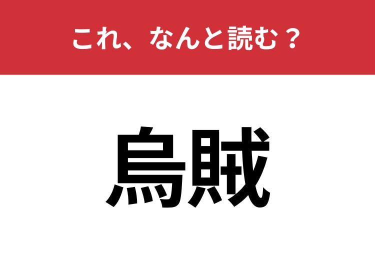【烏賊】はなんと読む？海に生息する生き物です！のメイン画像