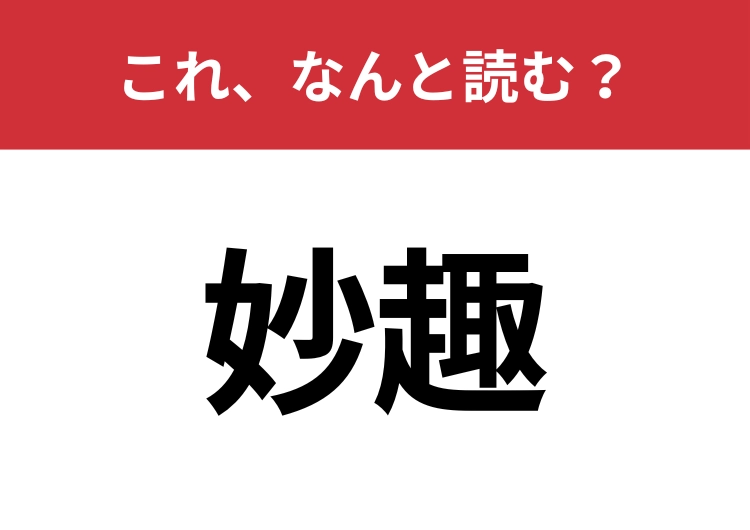 【妙趣】はなんと読む？知っていたら博識！のメイン画像