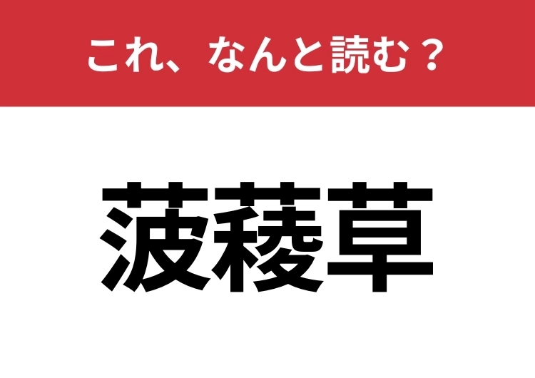 【菠薐草】はなんと読む？スーパーでおなじみのあの野菜のメイン画像