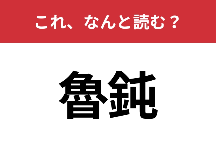 【魯鈍】はなんと読む？読めたらスゴイ！