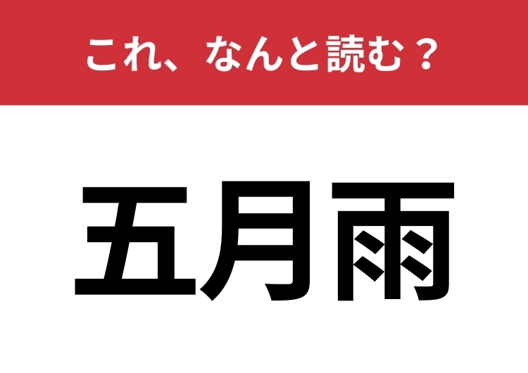 【五月雨】はなんと読む？梅雨の他の言い方です！のメイン画像