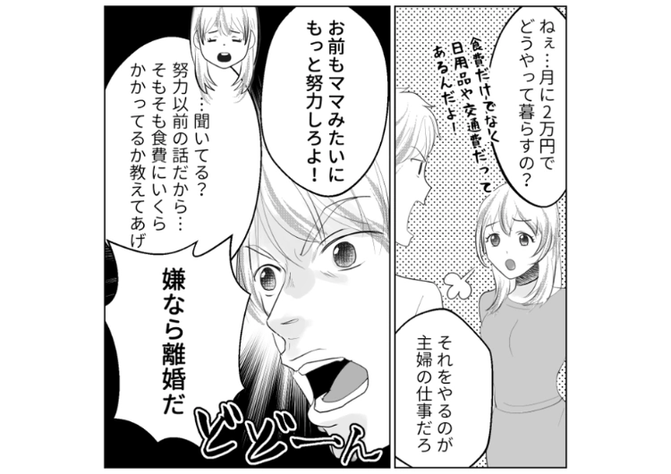 「ママは完璧に節約してた!お前は無駄遣いばかり」家事の方法が義母と違うと激怒する夫!義母は1週間5,000円でやりくりしていたと言い張り、同じことを要求→その話を聞いた義母が・・・のメイン画像