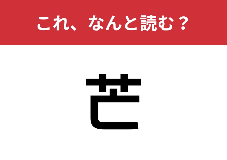 【芒】はなんと読む?秋の情緒を代表する植物!