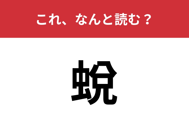 【蛻】はなんと読む？三文字で読みますよ！