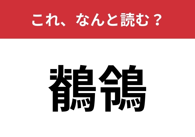 【鶺鴒】はなんと読む？読めたらなかなか教養派！のメイン画像