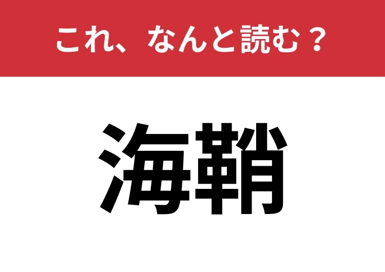 【海鞘】はなんと読む？旅行先で食べたことがあるかも？のメイン画像
