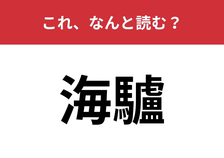 【海驢】はなんと読む？ヒントは水族館にいる人気者！