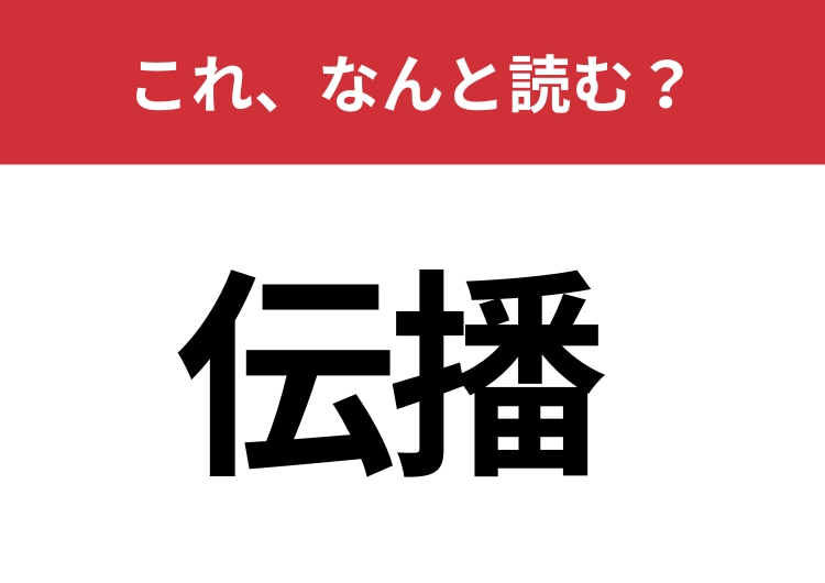 【伝播】はなんと読む？物事が広がっていく様子を表す言葉です！