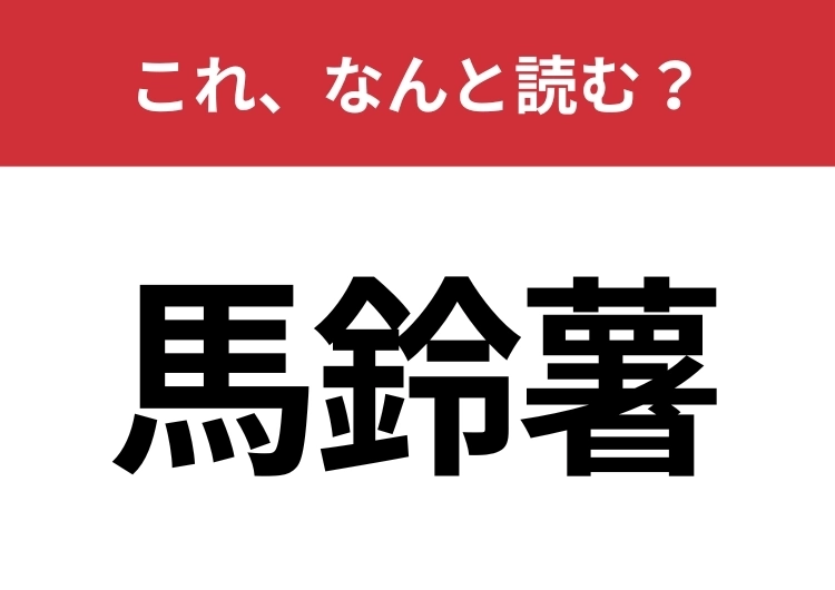 【馬鈴薯】はなんと読む？とっても身近なあの食材！のメイン画像