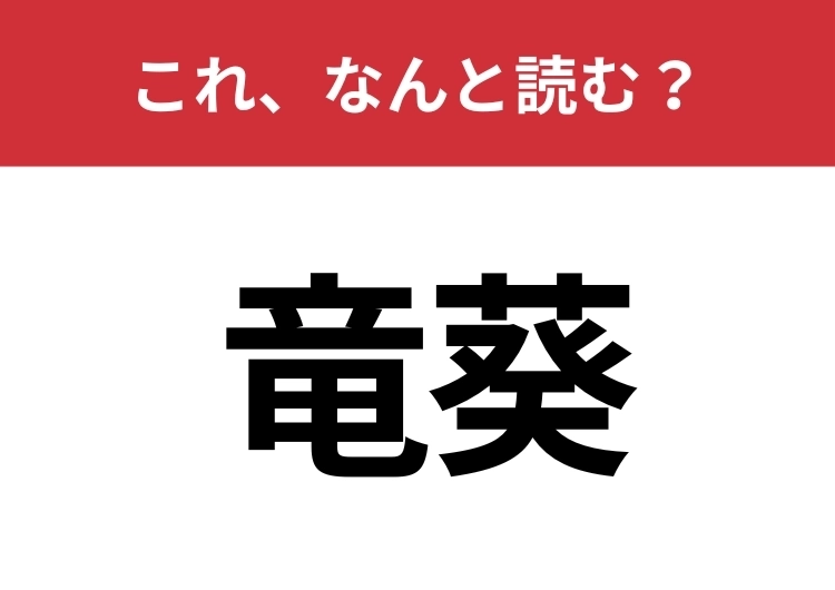 【竜葵】はなんと読む?「りゅうあおい」?いいえ、違いますのメイン画像